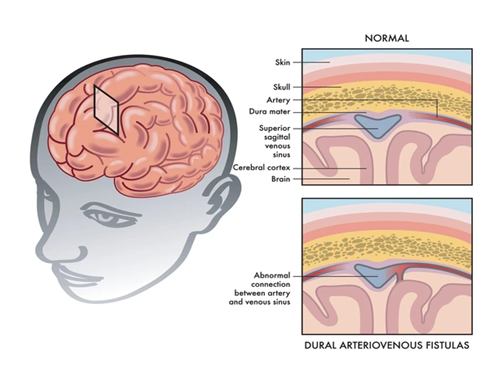 Picture7 - drsavyasachijain.com Picture7